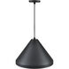 R Series 1 Light 13 inch Satin Black Outdoor Pendant